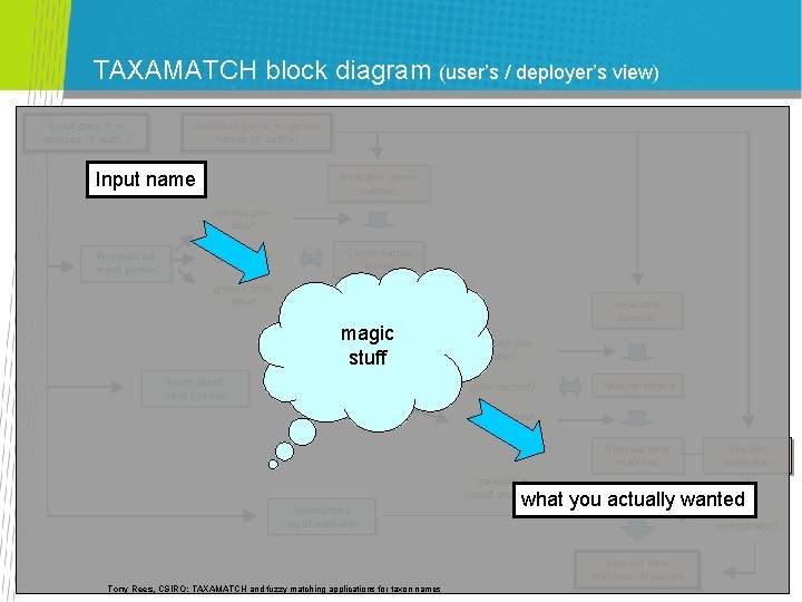 TAXAMATCH block diagram (user’s / deployer’s view) Input genus + species (+ auth. ) TAXAMATCH block diagram (user’s / deployer’s view) Input genus + species (+ auth. )
