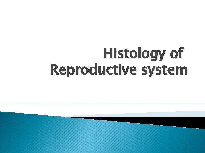 Histology of Reproductive system 