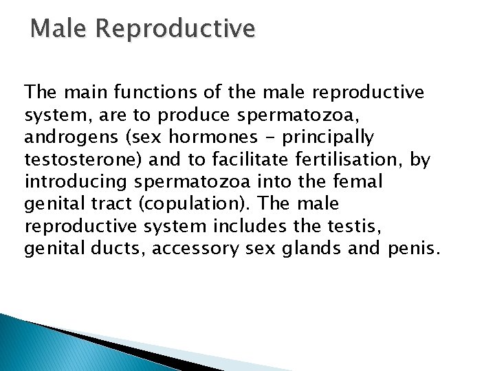 Male Reproductive The main functions of the male reproductive system, are to produce spermatozoa,