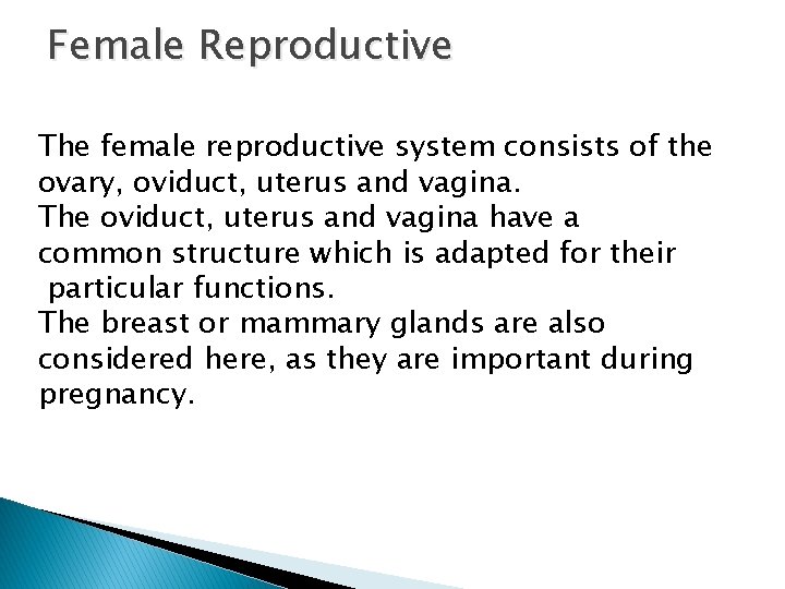 Female Reproductive The female reproductive system consists of the ovary, oviduct, uterus and vagina.