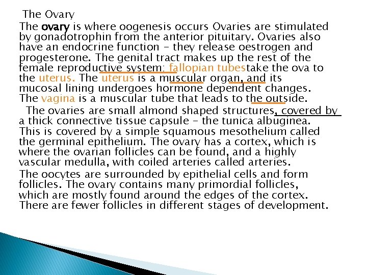 The Ovary The ovary is where oogenesis occurs Ovaries are stimulated by gonadotrophin from