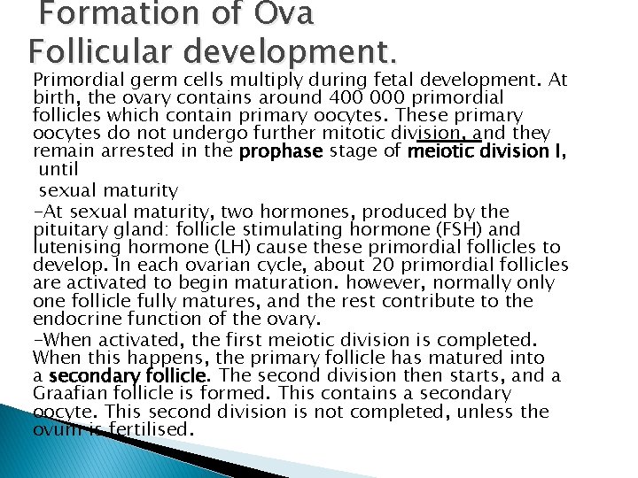 Formation of Ova Follicular development. Primordial germ cells multiply during fetal development. At birth,