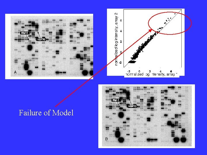 Failure of Model Failure of Model