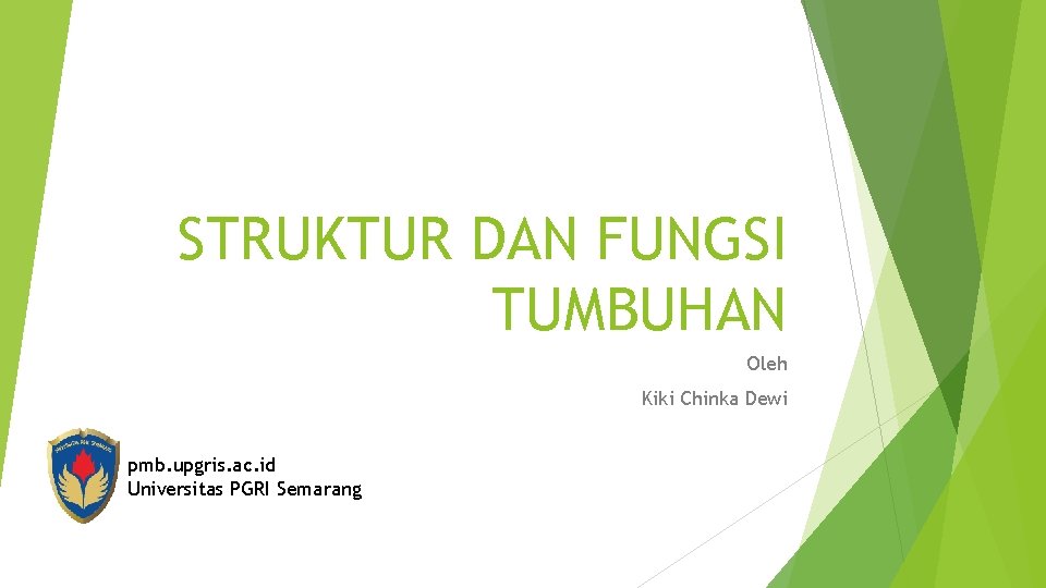 STRUKTUR DAN FUNGSI TUMBUHAN Oleh Kiki Chinka Dewi pmb. upgris. ac. id Universitas PGRI