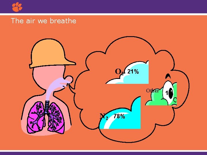 The air we breathe O 2 21% Other N 2 78% 1% 
