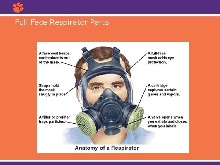Full Face Respirator Parts 
