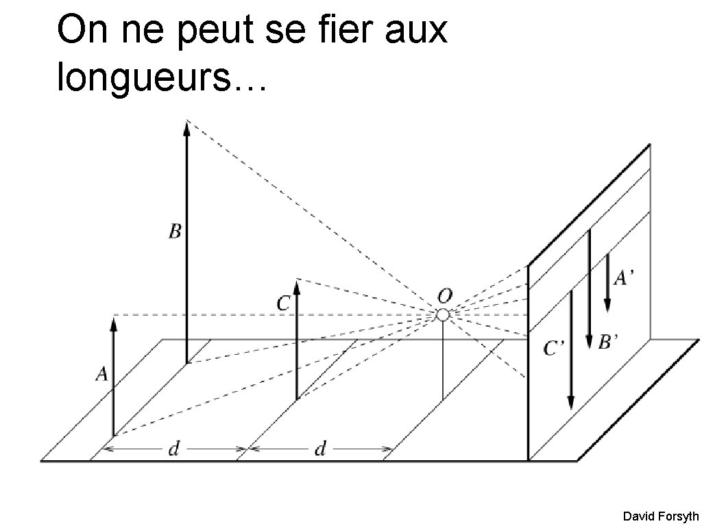 On ne peut se fier aux longueurs… David Forsyth 