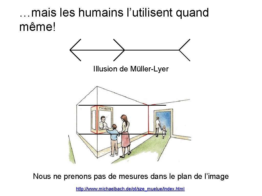 …mais les humains l’utilisent quand même! Illusion de Müller-Lyer Nous ne prenons pas de