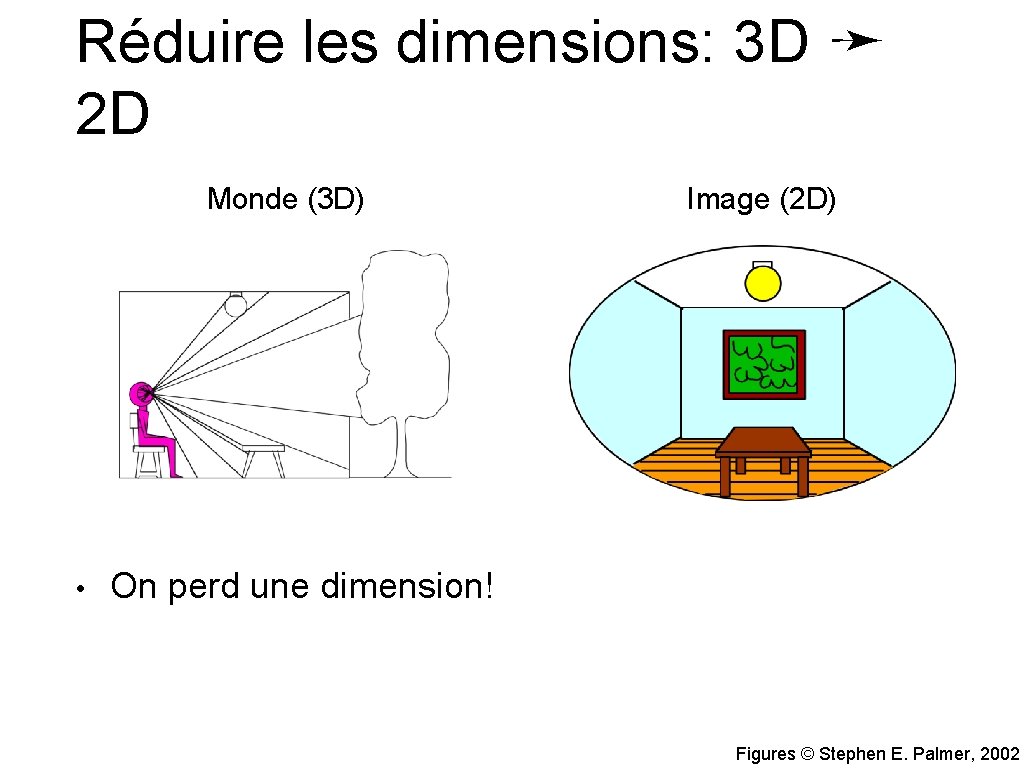 Réduire les dimensions: 3 D ➛ 2 D Monde (3 D) • Image (2