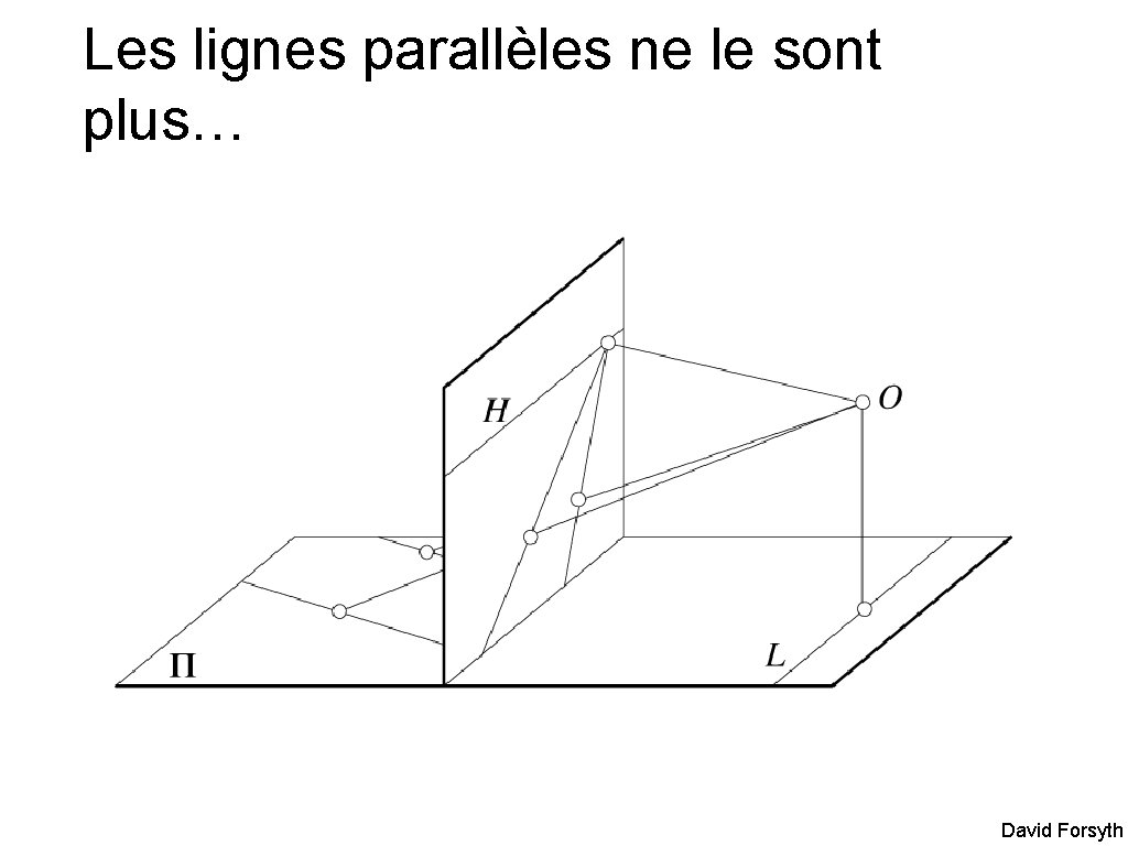 Les lignes parallèles ne le sont plus… David Forsyth 