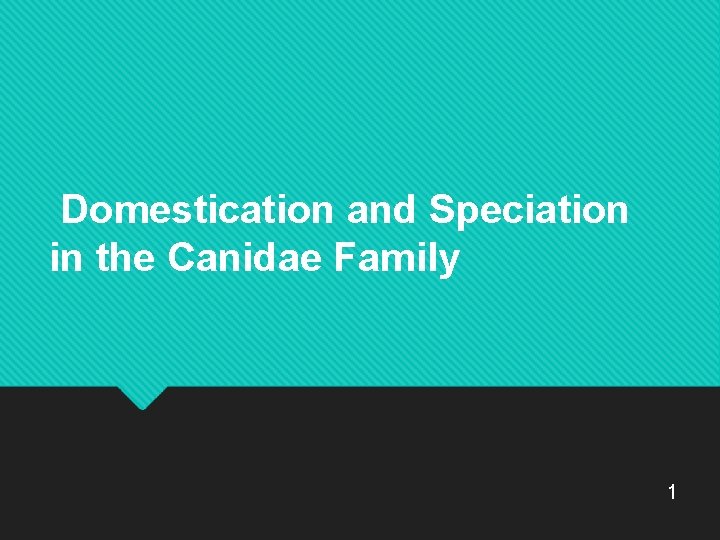 Domestication and Speciation in the Canidae Family 1 