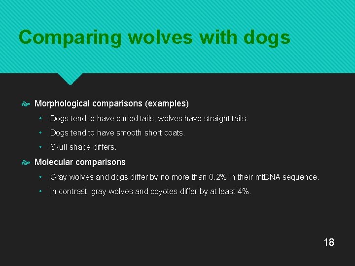 Comparing wolves with dogs Morphological comparisons (examples) • Dogs tend to have curled tails,