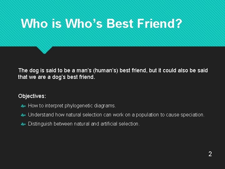Who is Who’s Best Friend? The dog is said to be a man’s (human’s)