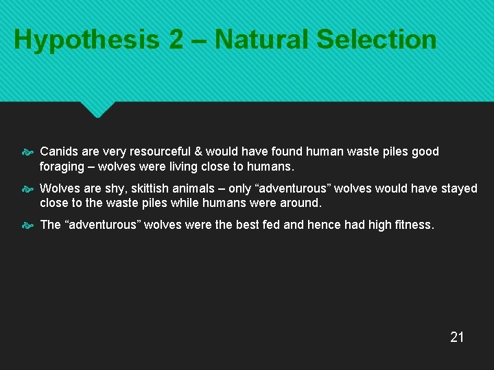 Hypothesis 2 – Natural Selection Canids are very resourceful & would have found human