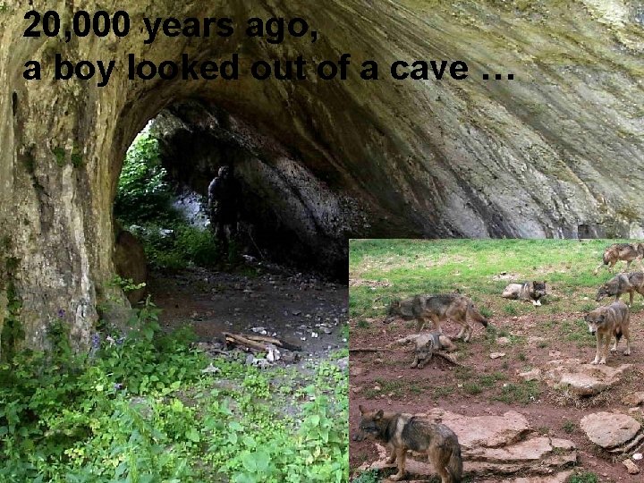 20, 000 years ago, a boy looked out of a cave … 5 