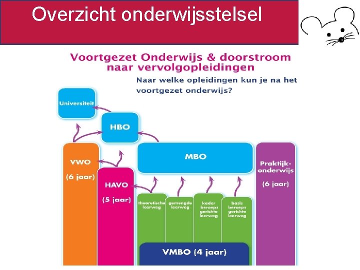 Overzicht onderwijsstelsel 