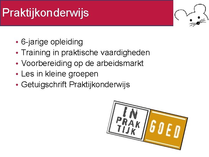 Praktijkonderwijs • • • 6 -jarige opleiding Training in praktische vaardigheden Voorbereiding op de