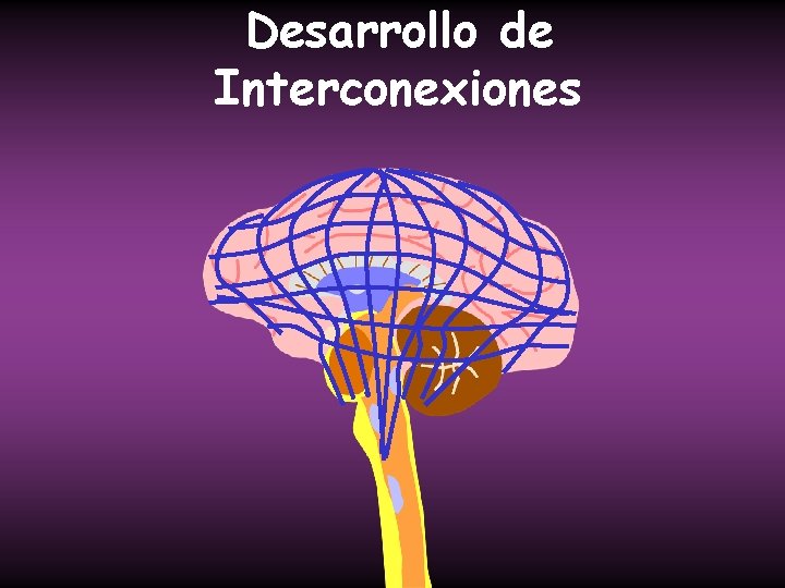 Desarrollo de Interconexiones 