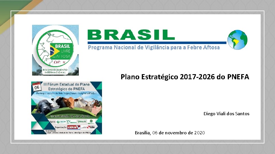Plano Estratégico 2017 -2026 do PNEFA Diego Viali dos Santos Brasília, 06 de novembro