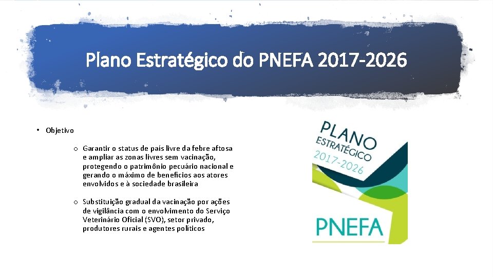 Plano Estratégico do PNEFA 2017 -2026 • Objetivo o Garantir o status de país