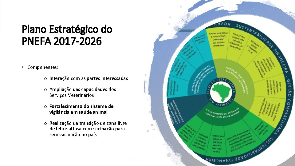 Plano Estratégico do PNEFA 2017 -2026 • Componentes: o Interação com as partes interessadas