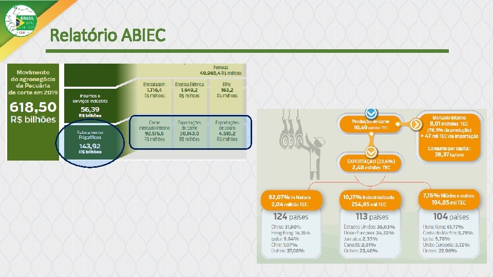 Relatório ABIEC 