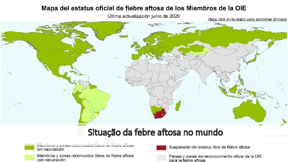 Situação da febre aftosa no mundo 