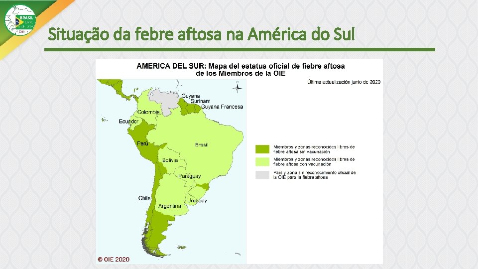 Situação da febre aftosa na América do Sul 