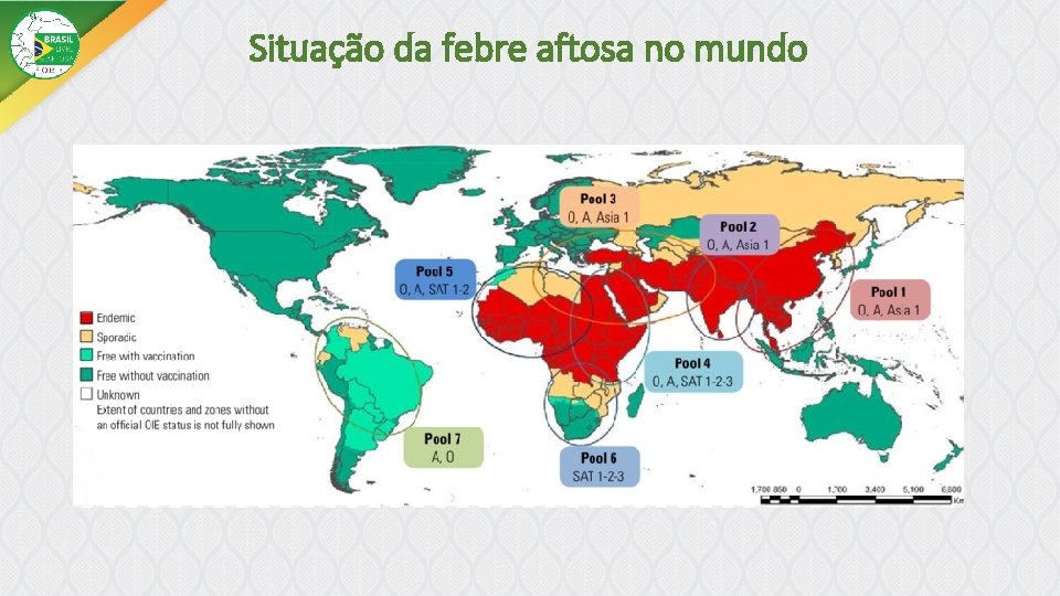 Situação da febre aftosa no mundo 