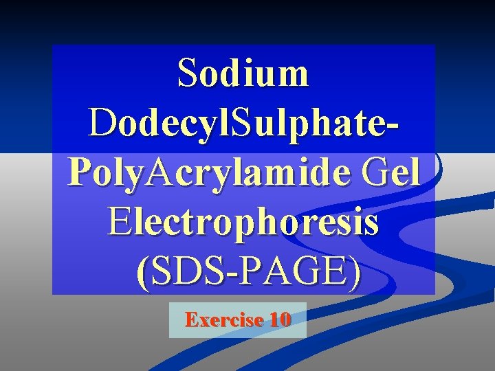Sodium Dodecyl. Sulphate. Poly. Acrylamide Gel Electrophoresis (SDS-PAGE) Exercise 10 