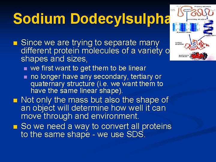 Sodium Dodecylsulphate n Since we are trying to separate many different protein molecules of