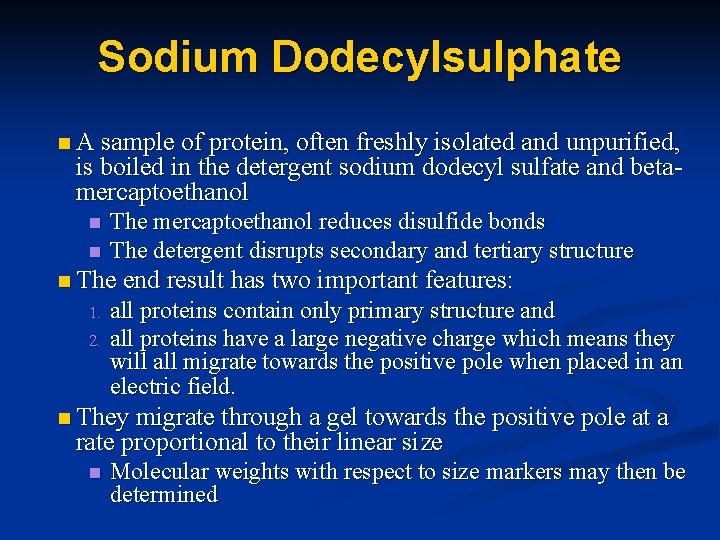 Sodium Dodecylsulphate n A sample of protein, often freshly isolated and unpurified, is boiled