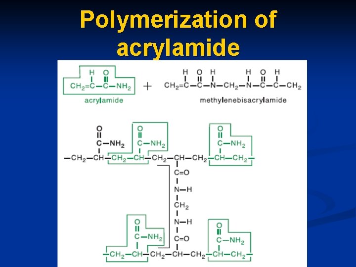 Polymerization of acrylamide 