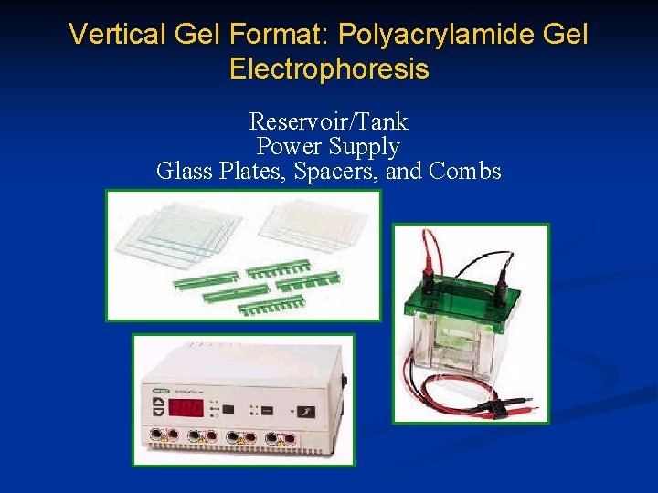 Vertical Gel Format: Polyacrylamide Gel Electrophoresis Reservoir/Tank Power Supply Glass Plates, Spacers, and Combs