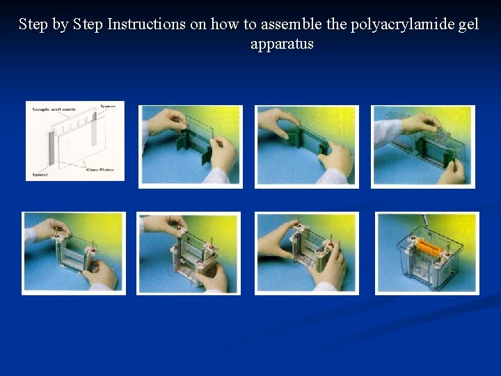 Step by Step Instructions on how to assemble the polyacrylamide gel apparatus 