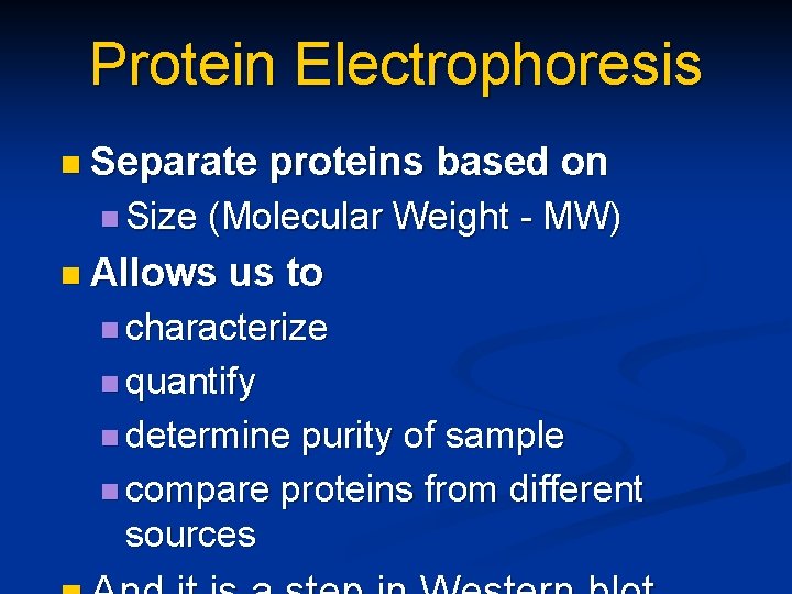 Protein Electrophoresis n Separate n Size proteins based on (Molecular Weight - MW) n