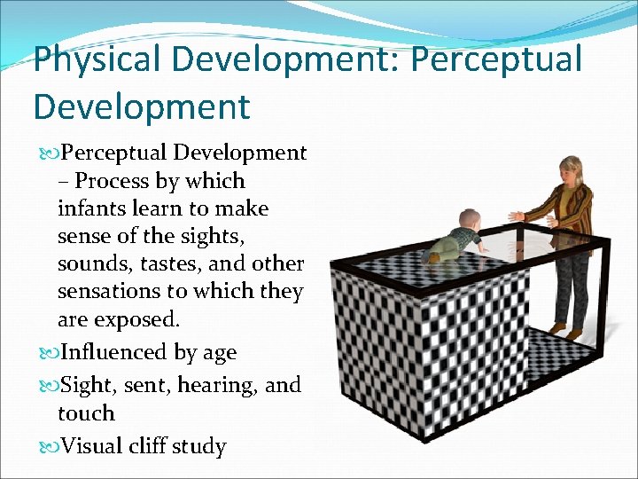 Physical Development: Perceptual Development – Process by which infants learn to make sense of