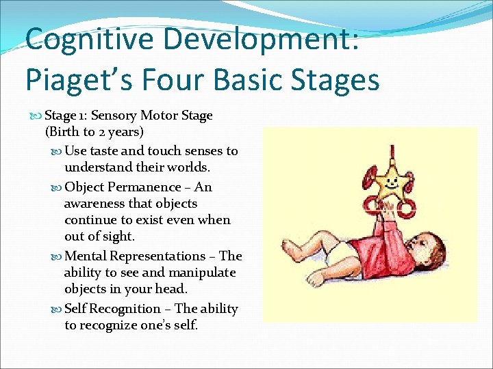 Cognitive Development: Piaget’s Four Basic Stages Stage 1: Sensory Motor Stage (Birth to 2