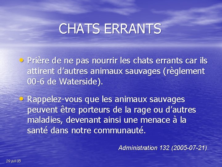 CHATS ERRANTS • Prière de ne pas nourrir les chats errants car ils attirent