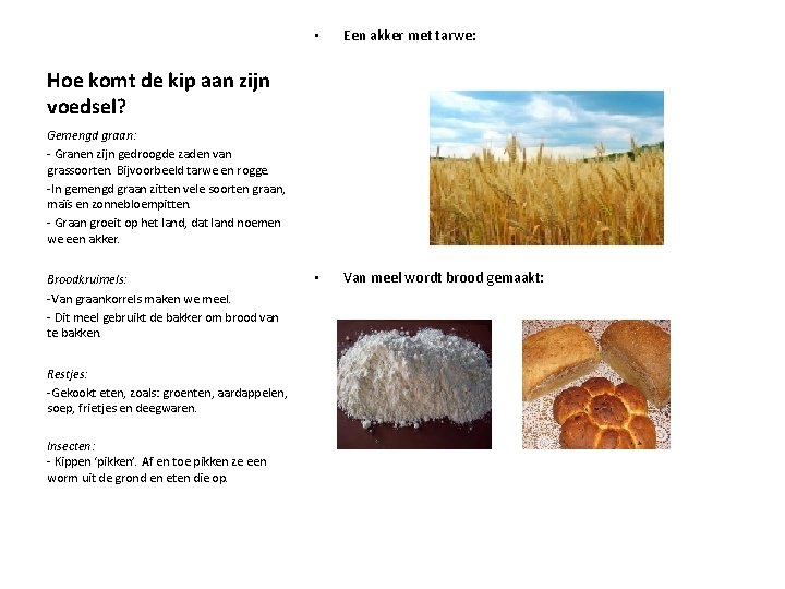  • Een akker met tarwe: • Van meel wordt brood gemaakt: Hoe komt