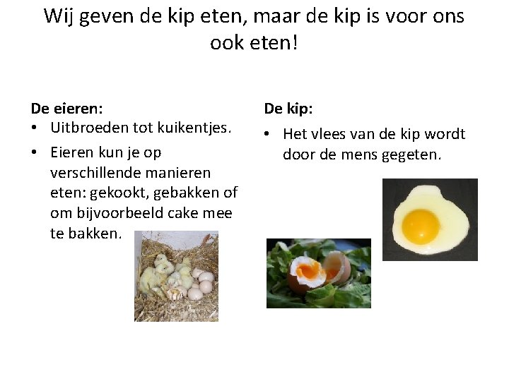 Wij geven de kip eten, maar de kip is voor ons ook eten! De
