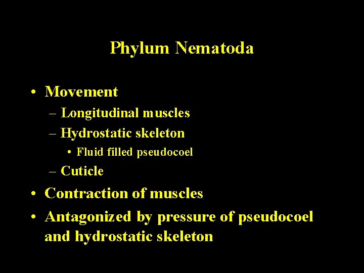 Phylum Nematoda • Movement – Longitudinal muscles – Hydrostatic skeleton • Fluid filled pseudocoel Phylum Nematoda • Movement – Longitudinal muscles – Hydrostatic skeleton • Fluid filled pseudocoel