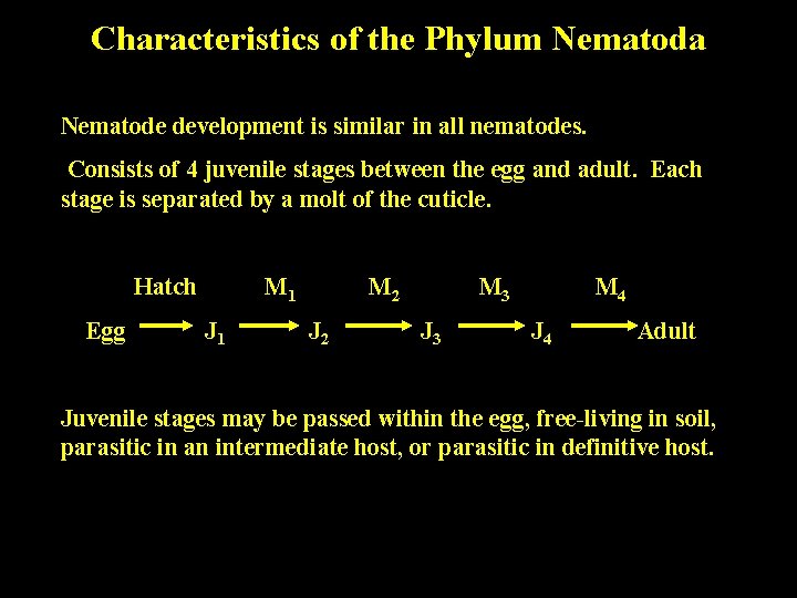Characteristics of the Phylum Nematoda Nematode development is similar in all nematodes. Consists of Characteristics of the Phylum Nematoda Nematode development is similar in all nematodes. Consists of