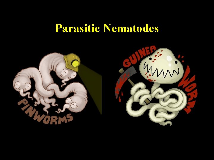 Parasitic Nematodes Parasitic Nematodes
