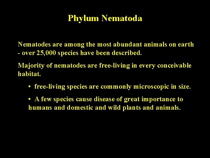 Phylum Nematoda Nematodes are among the most abundant animals on earth - over 25, Phylum Nematoda Nematodes are among the most abundant animals on earth - over 25,
