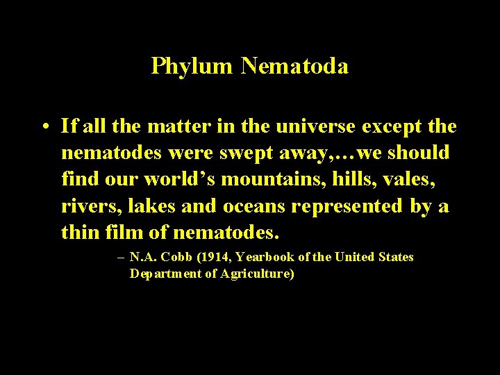 Phylum Nematoda • If all the matter in the universe except the nematodes were Phylum Nematoda • If all the matter in the universe except the nematodes were