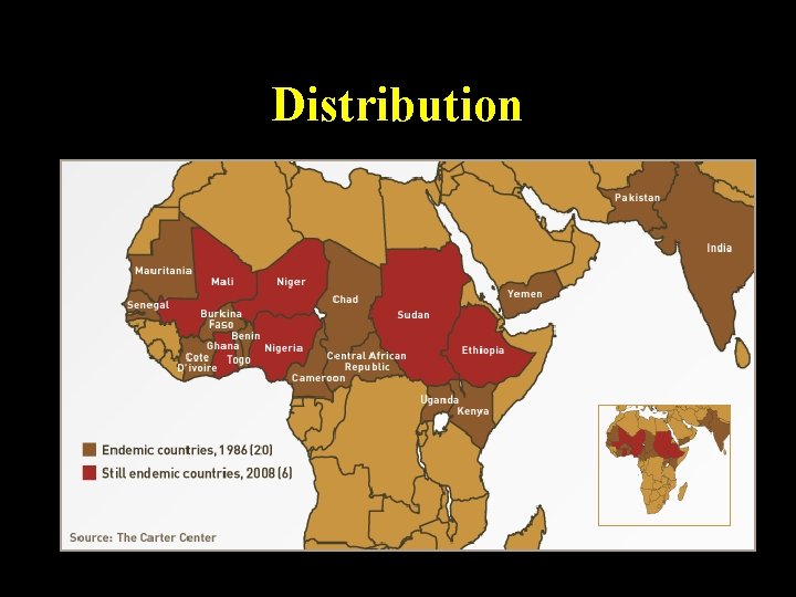 Distribution Distribution