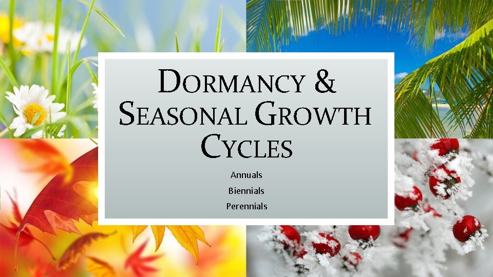 DORMANCY & SEASONAL GROWTH CYCLES Annuals Biennials Perennials 