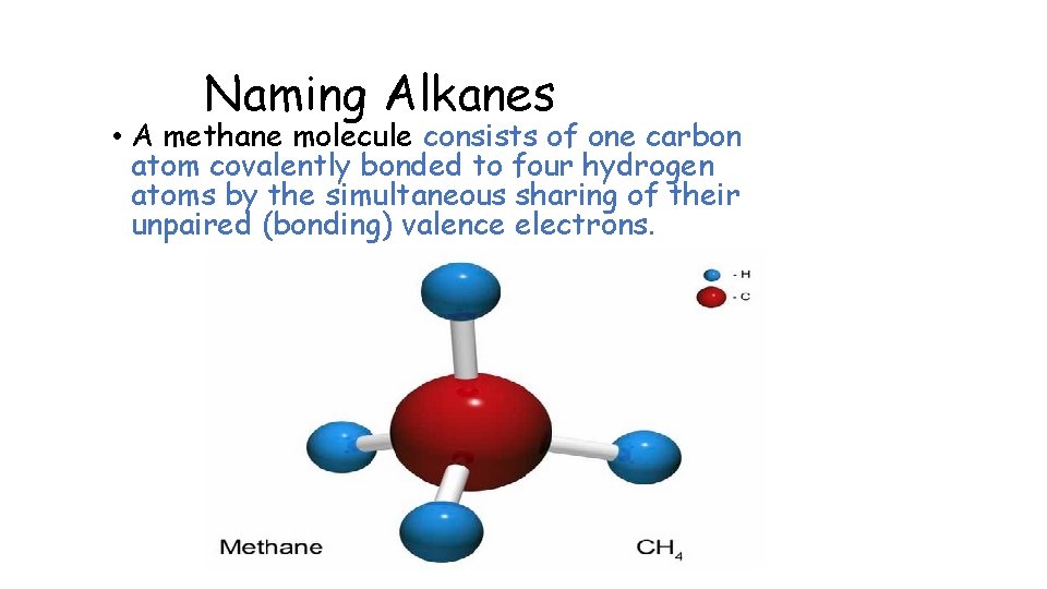 Naming Alkanes • A methane molecule consists of one carbon atom covalently bonded to