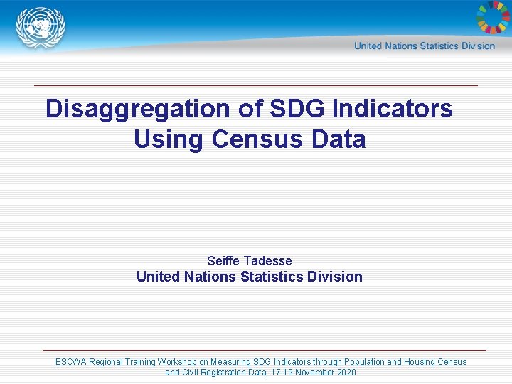 Disaggregation of SDG Indicators Using Census Data Seiffe